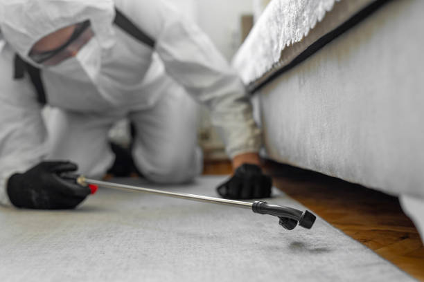 Professional Termite Control technician working in Mirrormont, WA